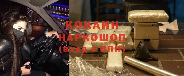 сатива Балахна