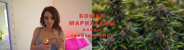 сатива Балахна