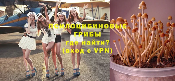 сатива Балахна
