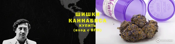 сатива Балахна