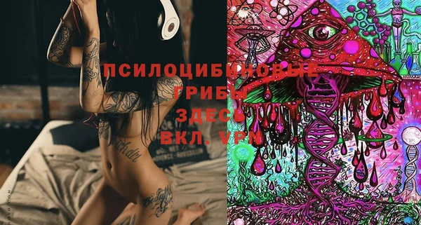 сатива Балахна