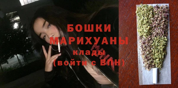 сатива Балахна