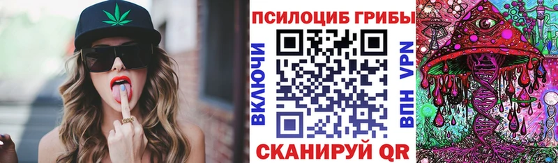 купить   Оленегорск  blacksprut сайт  Псилоцибиновые грибы GOLDEN TEACHER 